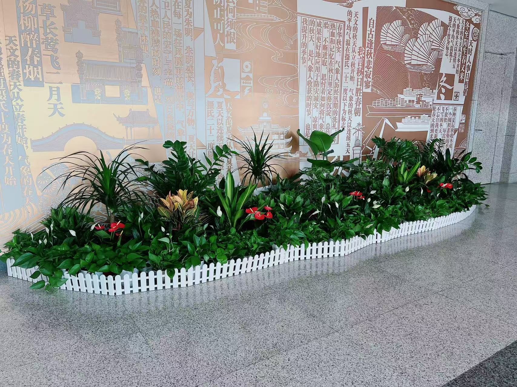 探寻宁波前湾植物租赁，价格亲民，打造绿色小天地！